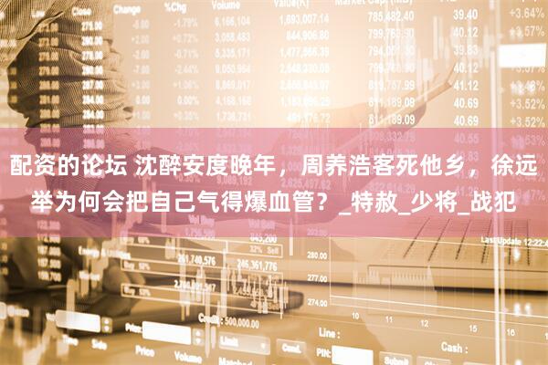 配资的论坛 沈醉安度晚年，周养浩客死他乡，徐远举为何会把自己气得爆血管？_特赦_少将_战犯